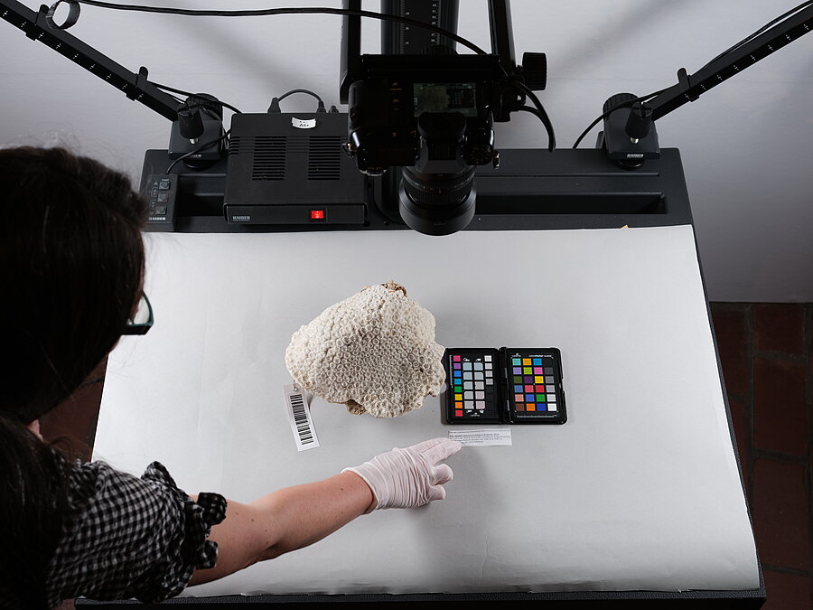 Gläserne Digitalisierungswerkstatt