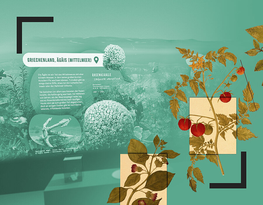 Alte Natur trifft digitale Faszination - Naturgeschichte neu erleben