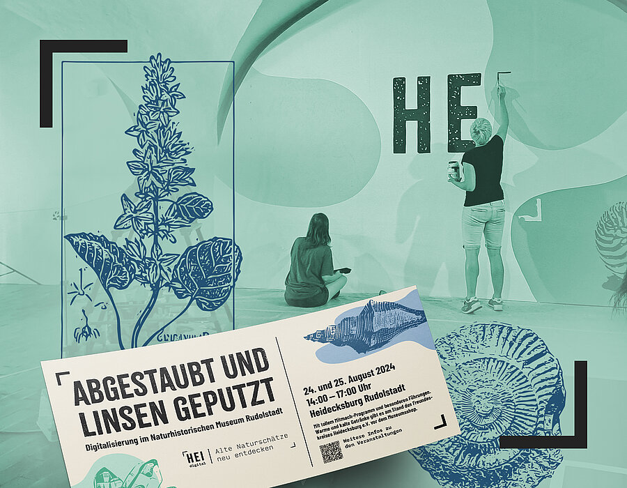 Abgestaubt und Linsen geputzt