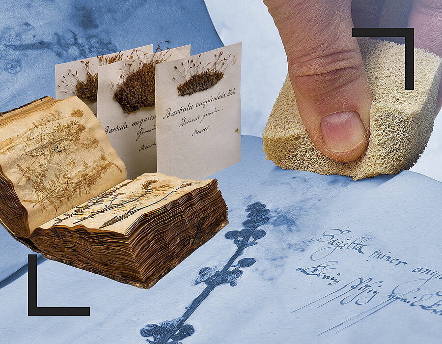 Kulturgutschutz im digitalen Zeitalter