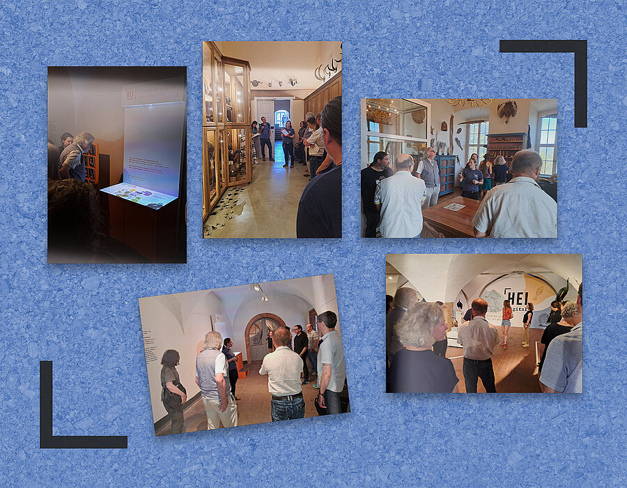 NETZWERKARBEIT IN MUSEEN